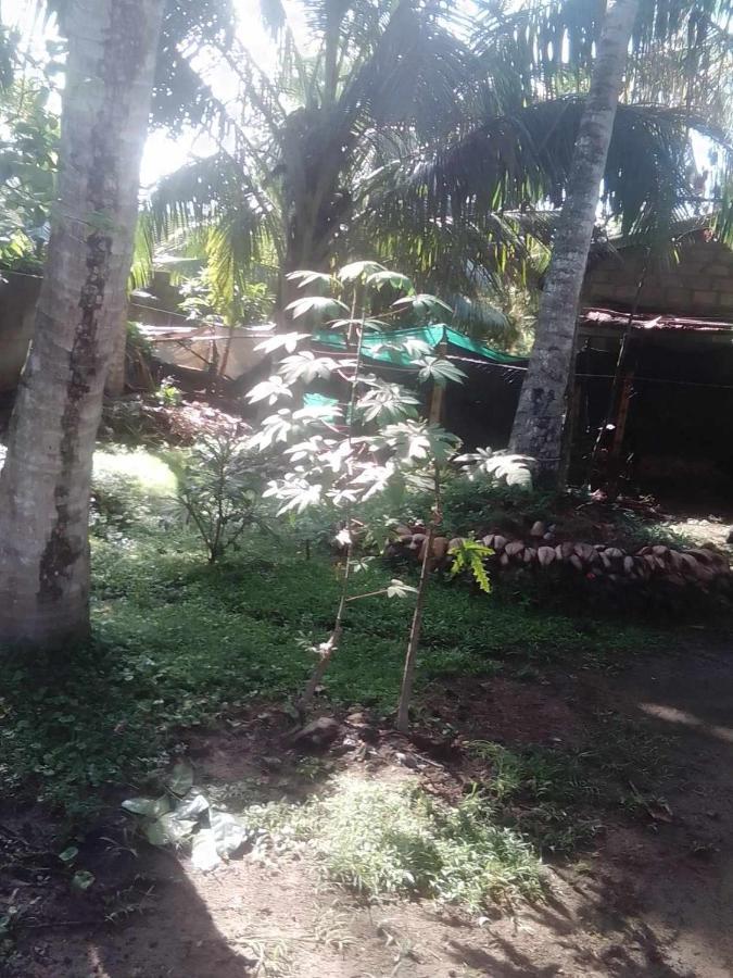 Thomasz House Apartment Ahangama Exterior foto
